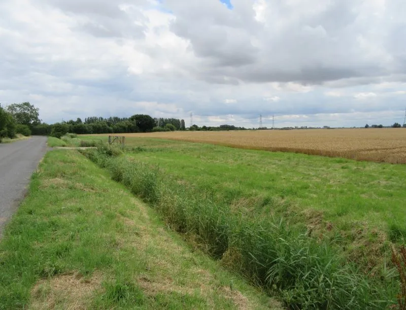 Strategic land adjacent to Walnut Road, Walpole St. Peter, Wisbech, Cambridgeshire, PE14 7NR
