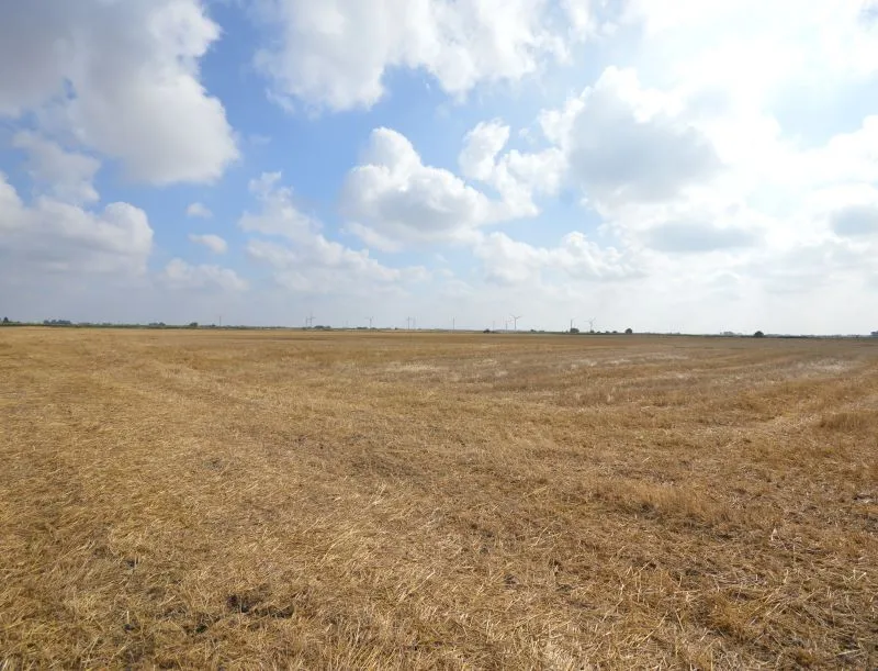 5.30 acres of land at First Turf Fen Drove, Warboys, Huntingdon, Cambridgeshire, PE28 2TZ
