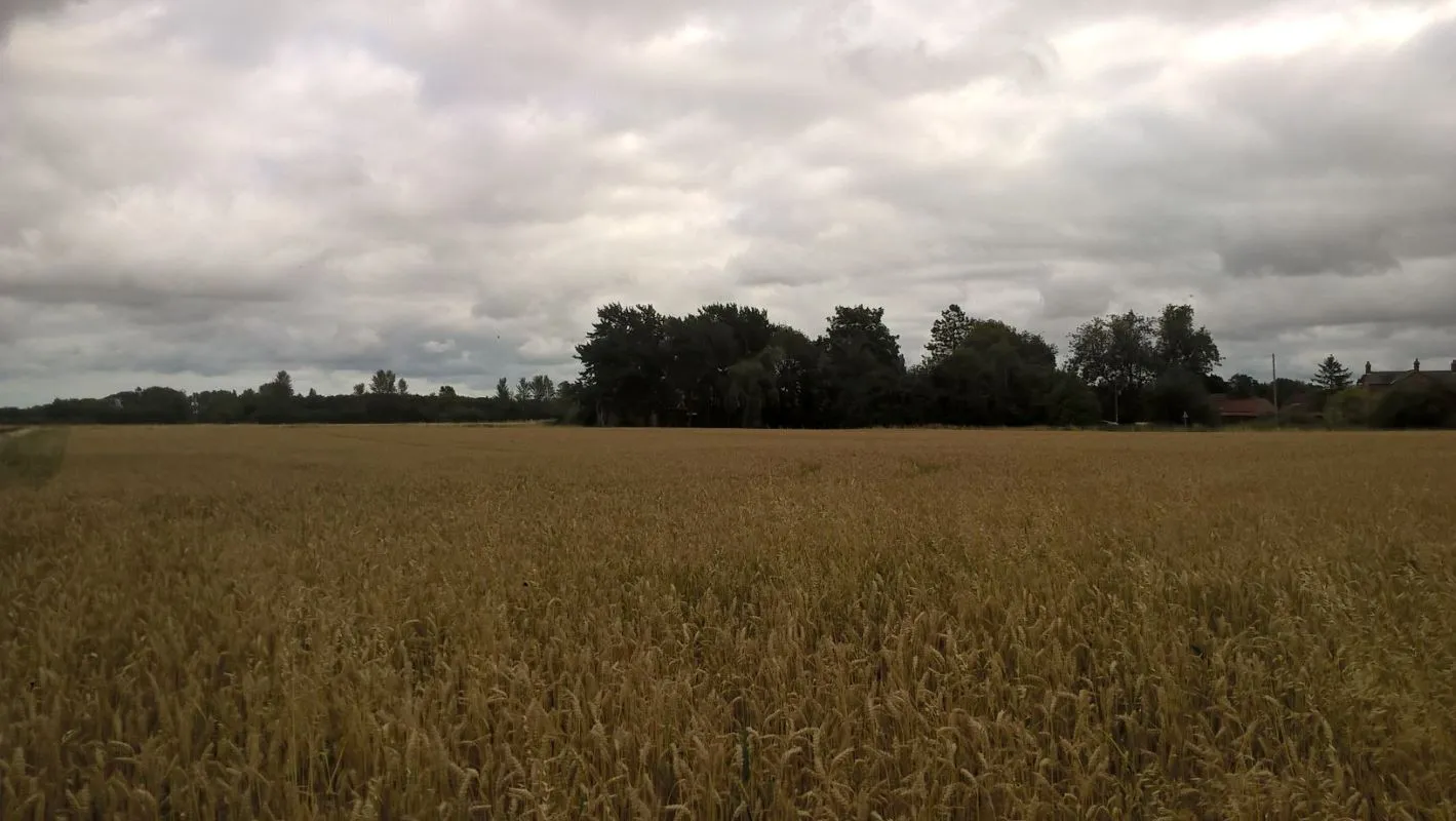 3.66 acres of land off Wisbech Road, Walpole St Andrews, Wisbech, Cambridgeshire, PE14 7HJ