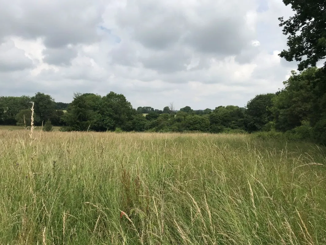 Land at Starlings Green, Clavering, Saffron Walden, Essex, CB11 4PT