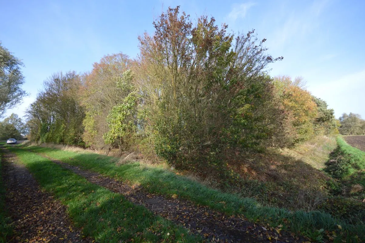 1.19 acres of land on the north side of Blackbank Drove, Littleport, Ely, Cambridgeshire, CB6 1JJ