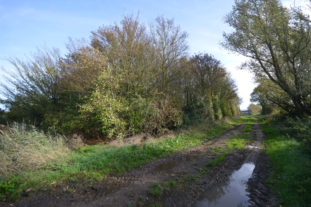 1.19 acres of land on the north side of Blackbank Drove, Littleport, Ely, Cambridgeshire, CB6 1JJ