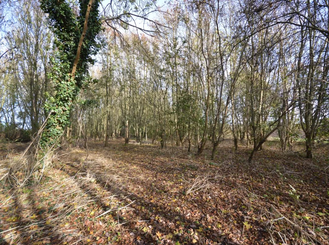 1.19 acres of land on the north side of Blackbank Drove, Littleport, Ely, Cambridgeshire, CB6 1JJ