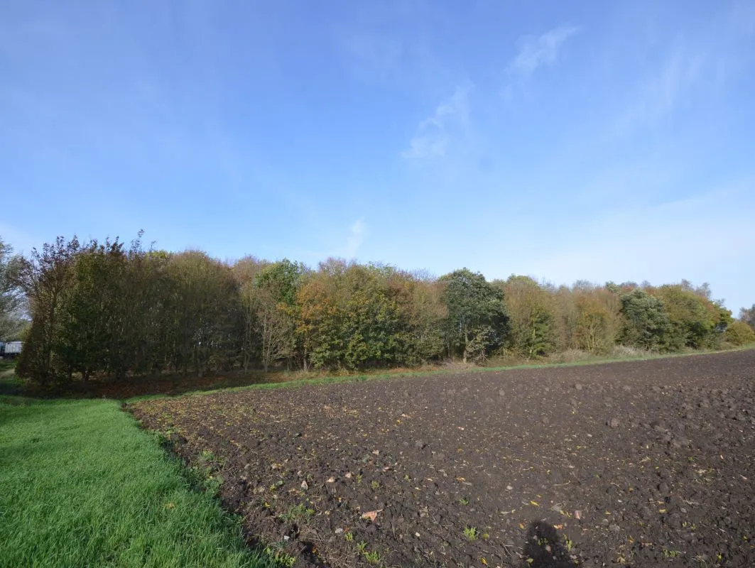 1.19 acres of land on the north side of Blackbank Drove, Littleport, Ely, Cambridgeshire, CB6 1JJ
