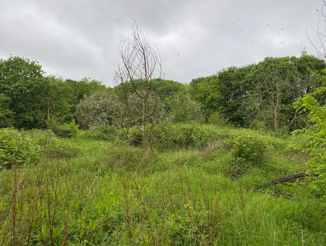 Land at Church Lane, Sutton, Ely, Cambridgeshire, CB6 2RQ