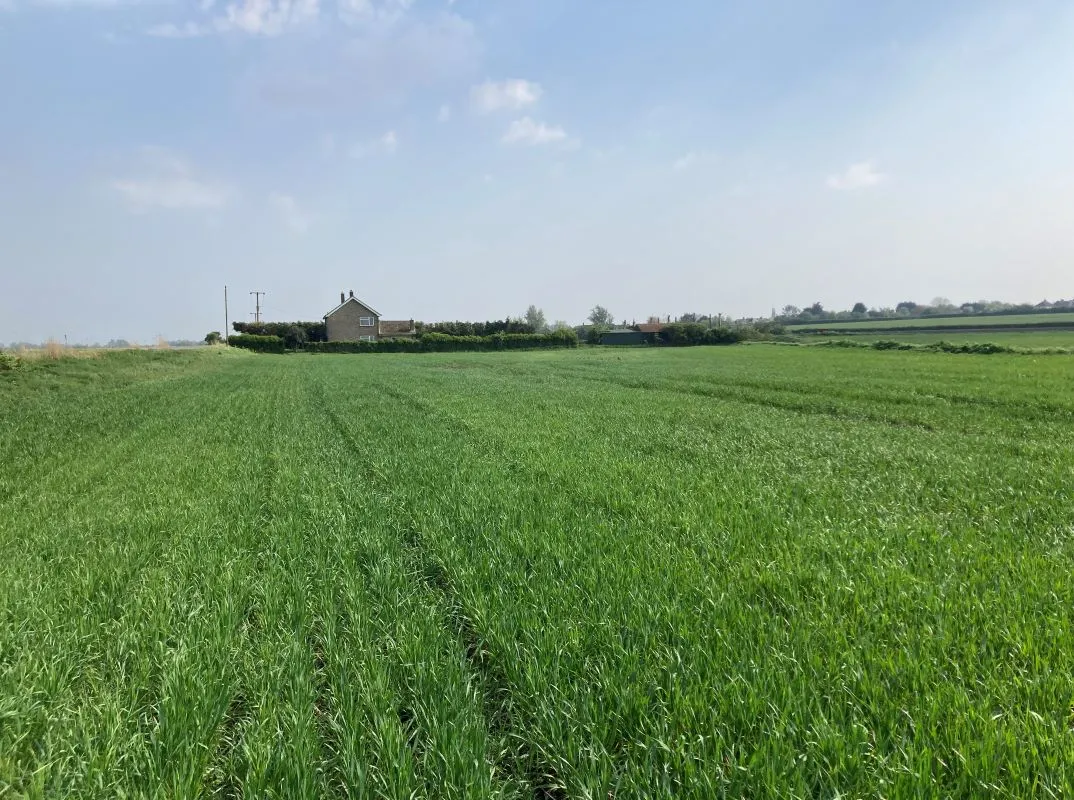 Commonside, Station Road, Little Downham, Ely, Cambridgeshire, CB6 2TX