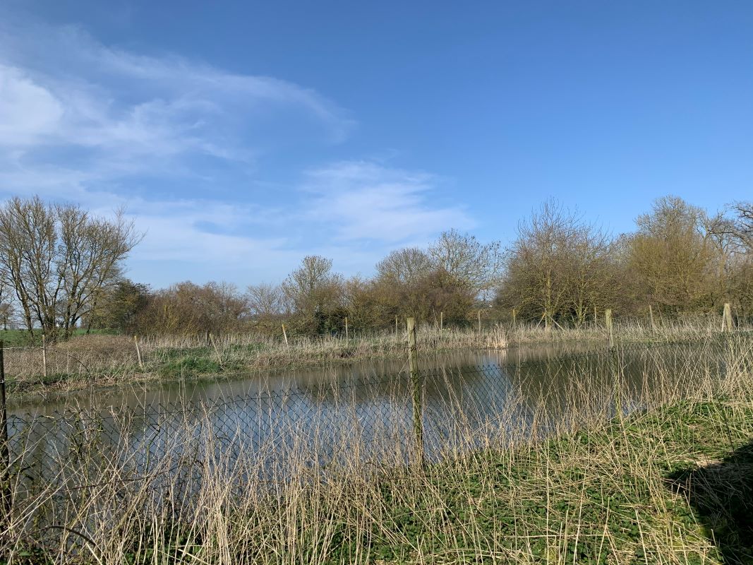 Barns to the north of The Lodge, New Road, Worlingworth, Woodbridge, Suffolk, IP13 7PA - Online Auctions