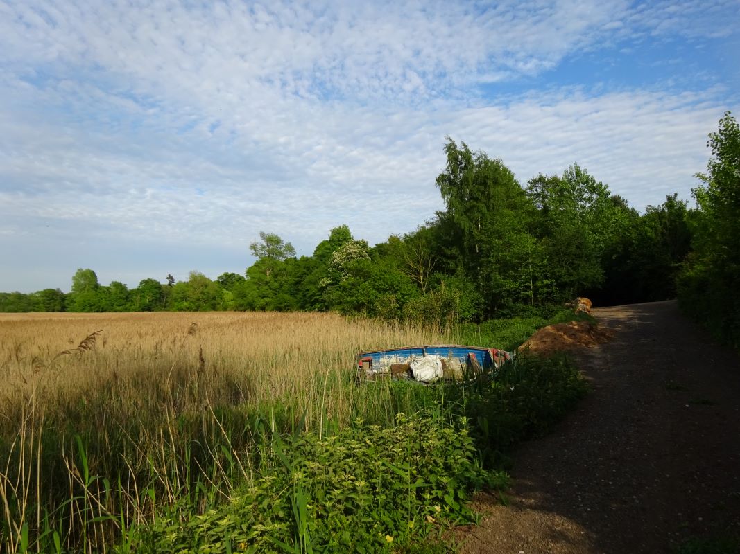 Land at Wilford Bridge, Bromeswell, Woodbridge, Suffolk, IP12 2PG - Online Auctions