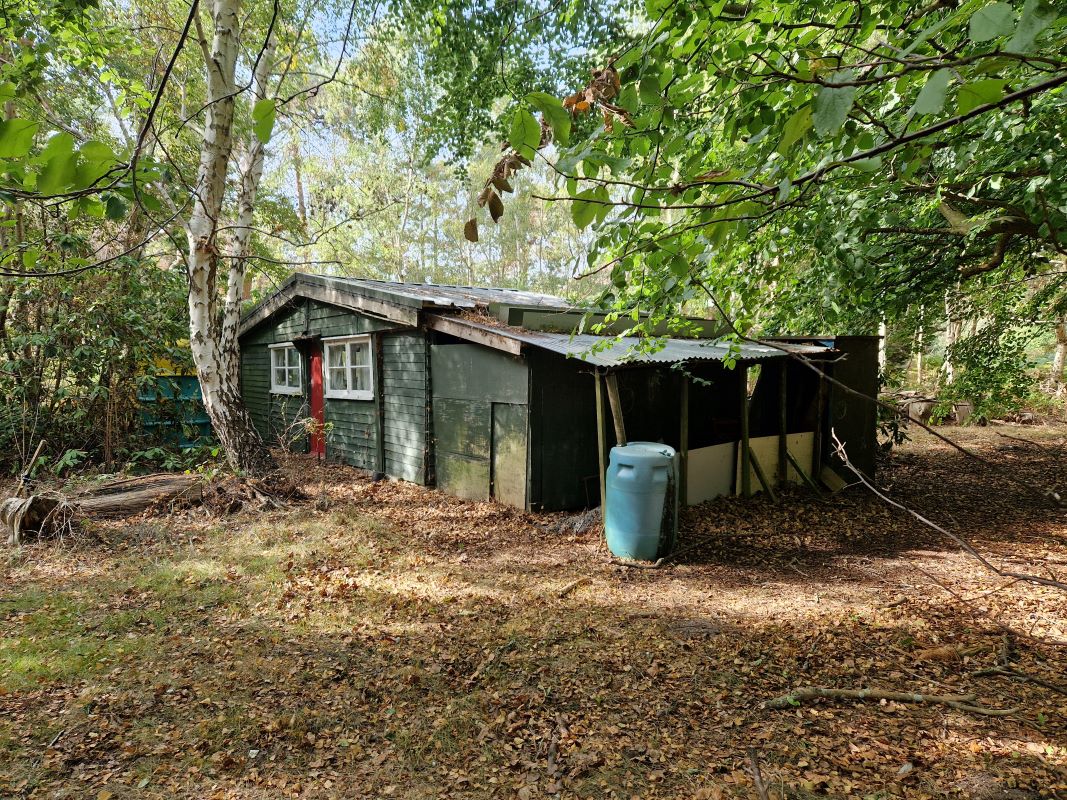 Stonehouse Plantation, Aldringham Cum Thorpe, Nr Thorpeness, Suffolk, IP16 4LT - Online Auctions