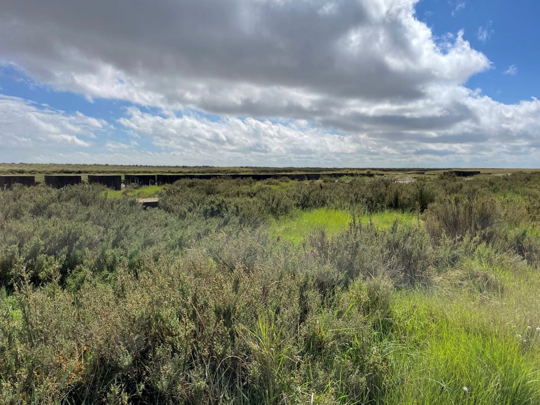 Land at, Beach Road, St Osyth, Essex, CO16 8ET - Online Auctions