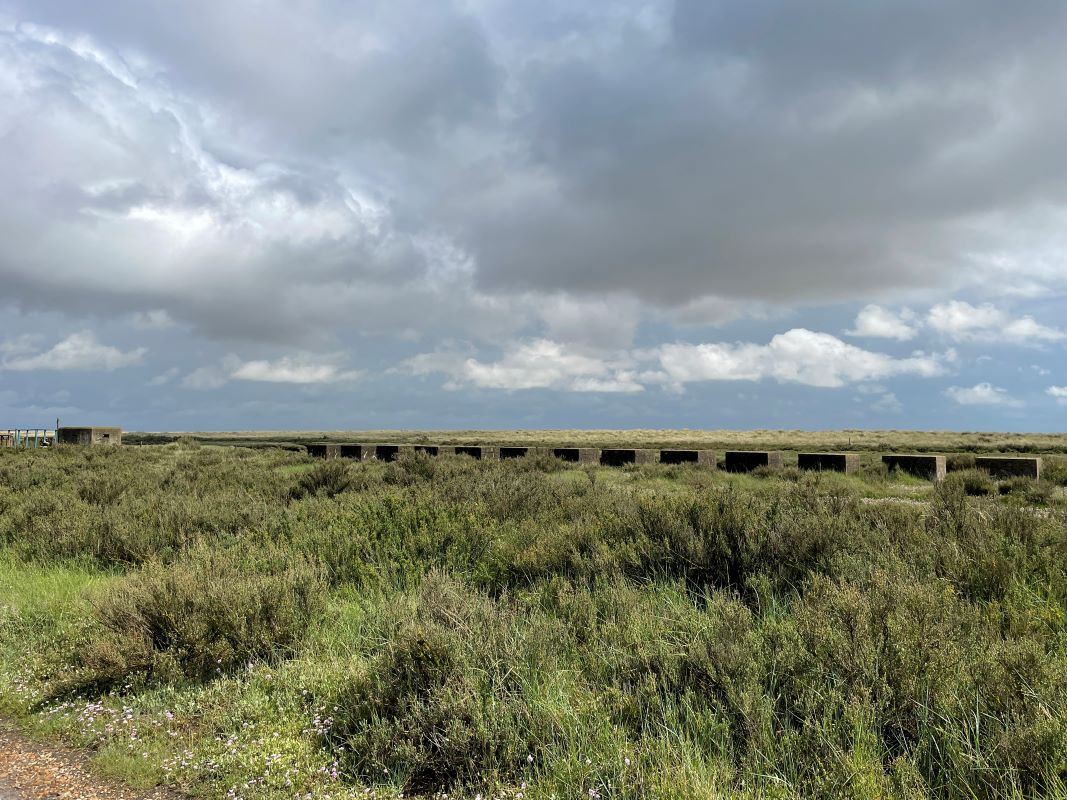 Land at, Beach Road, St Osyth, Essex, CO16 8ET - Online Auctions