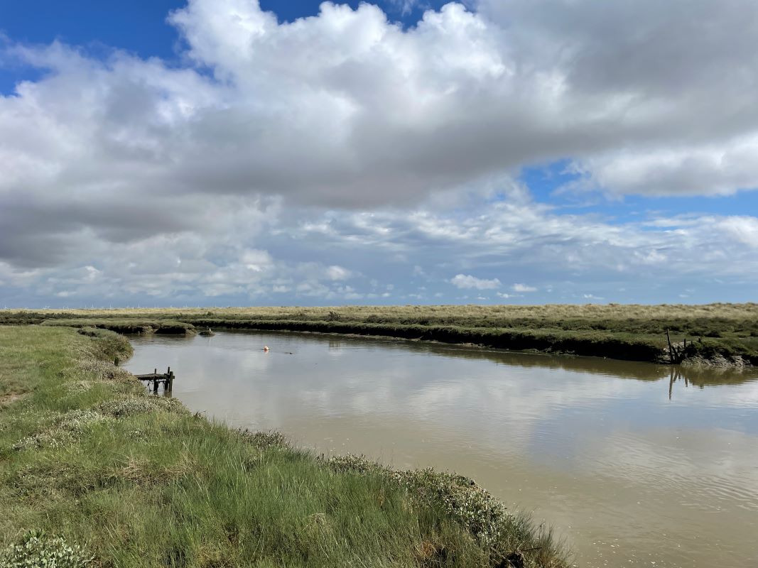 Land at, Beach Road, St Osyth, Essex, CO16 8ET - Online Auctions