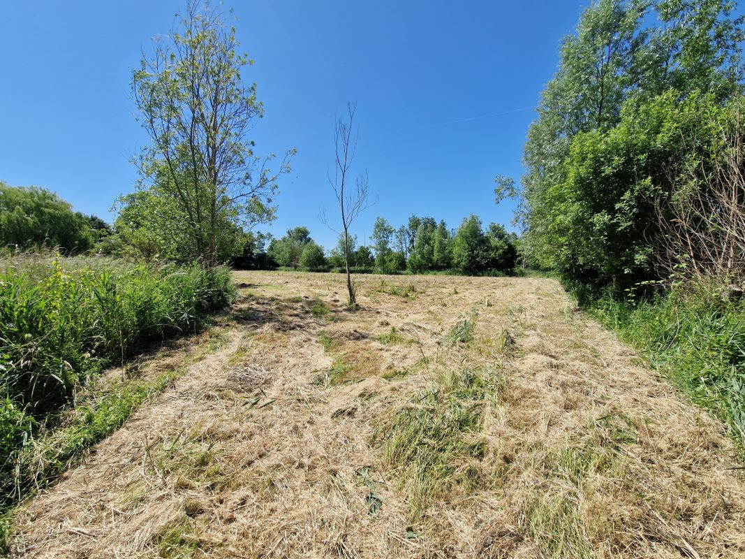 Land at Cundle Green Lane, Snape, Suffolk, IP17 1RE - Online Auctions