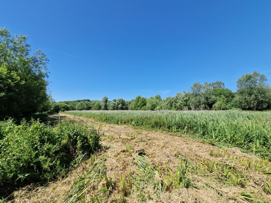 Land at Cundle Green Lane, Snape, Suffolk, IP17 1RE - Online Auctions
