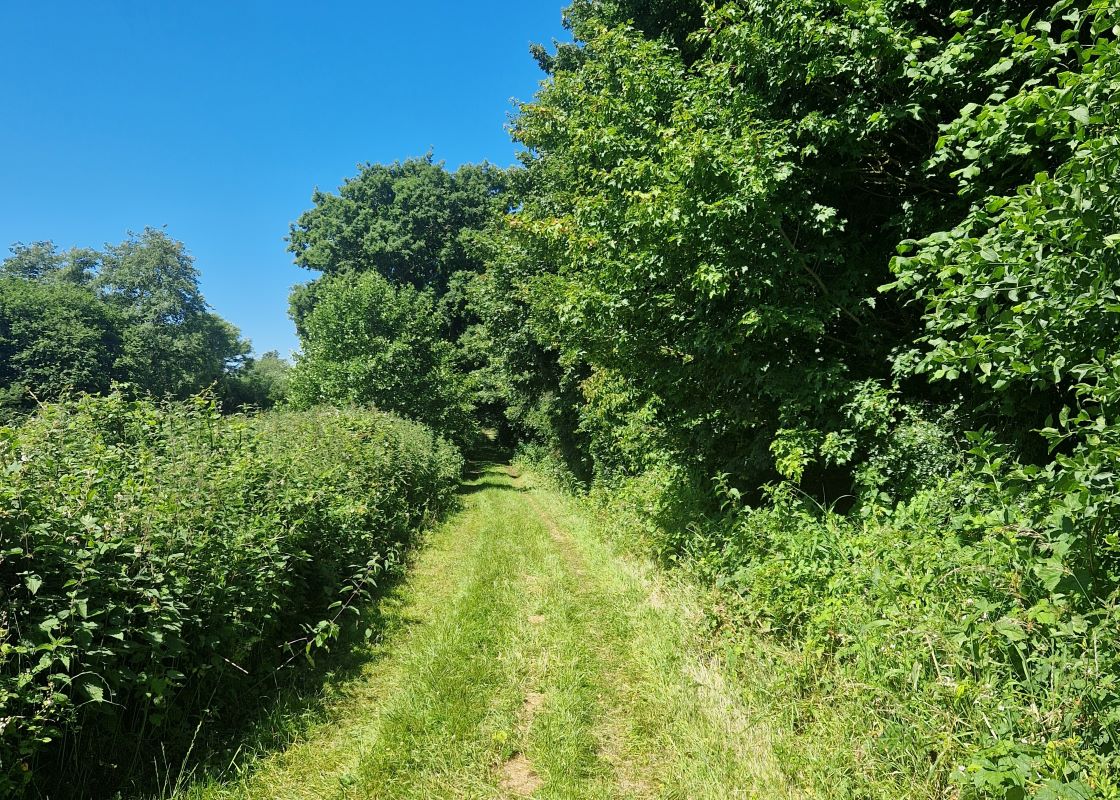 Land at Cundle Green Lane, Snape, Suffolk, IP17 1RE - Online Auctions