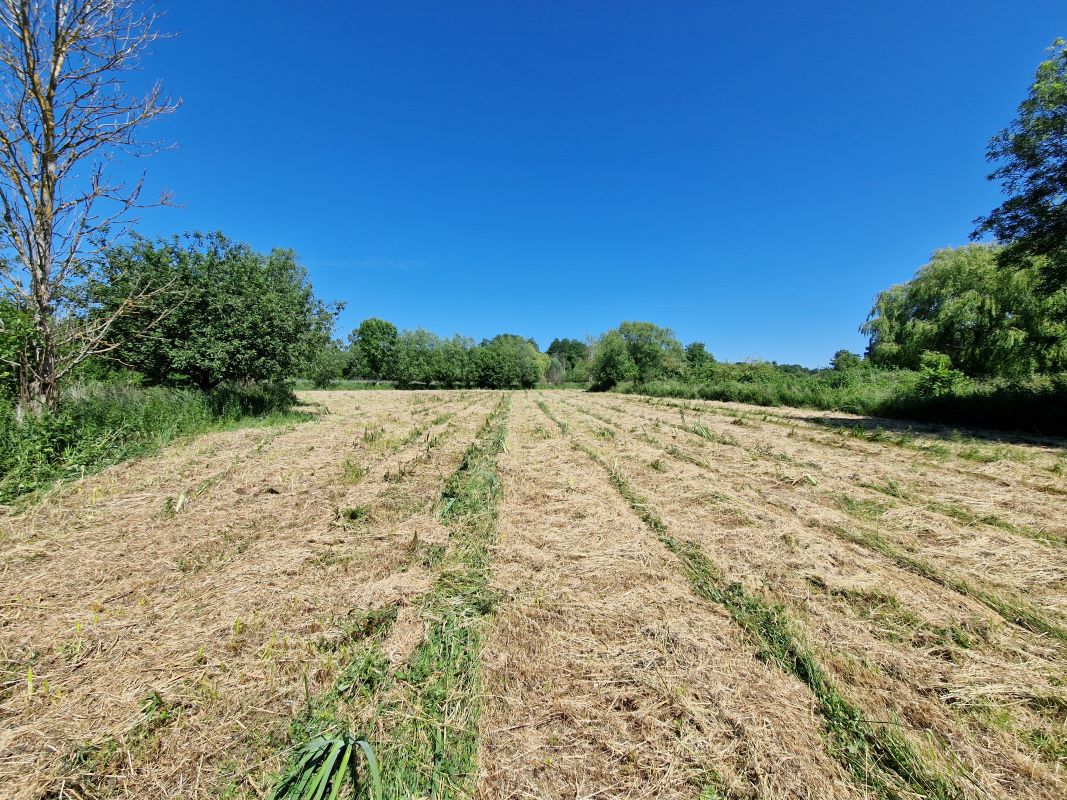 Land at Cundle Green Lane, Snape, Suffolk, IP17 1RE - Online Auctions