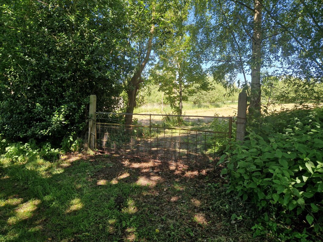 Land at Cundle Green Lane, Snape, Suffolk, IP17 1RE - Online Auctions