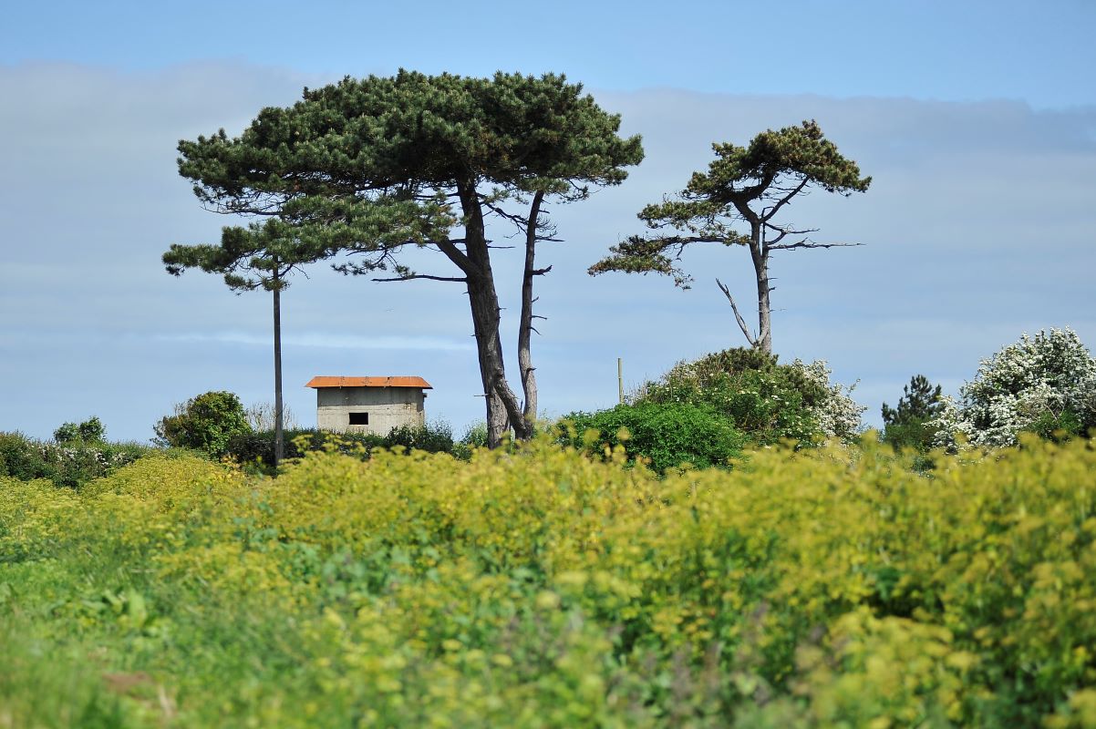 East Lane, Bawdsey, Woodbridge, Suffolk, IP12 3AP - Online Auctions