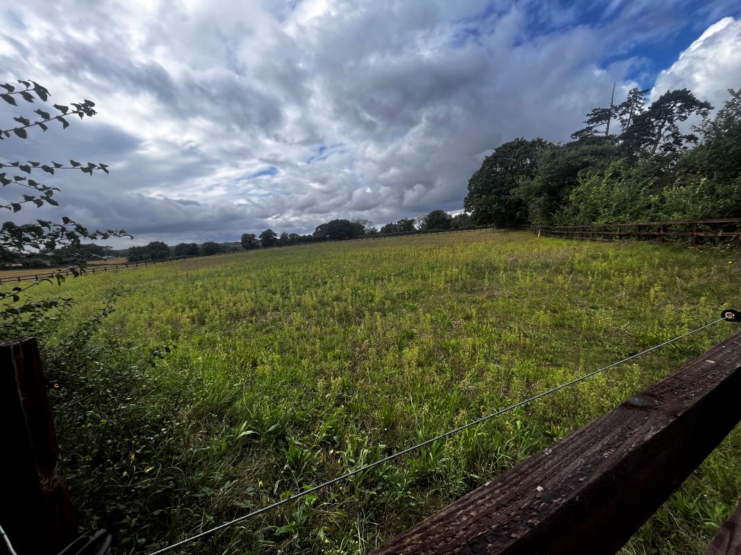 Land at Farnham Road, Snape, Saxmundham, Suffolk, IP17 1QW - Online Auctions