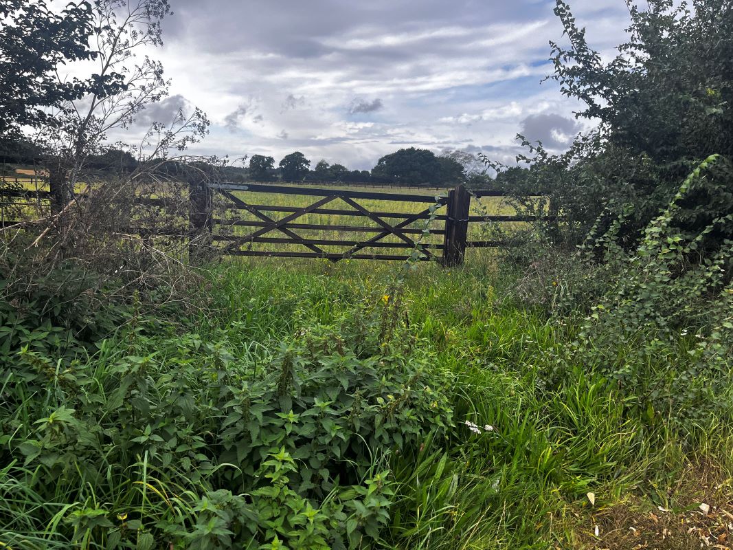 Land at Farnham Road, Snape, Saxmundham, Suffolk, IP17 1QW - Online Auctions
