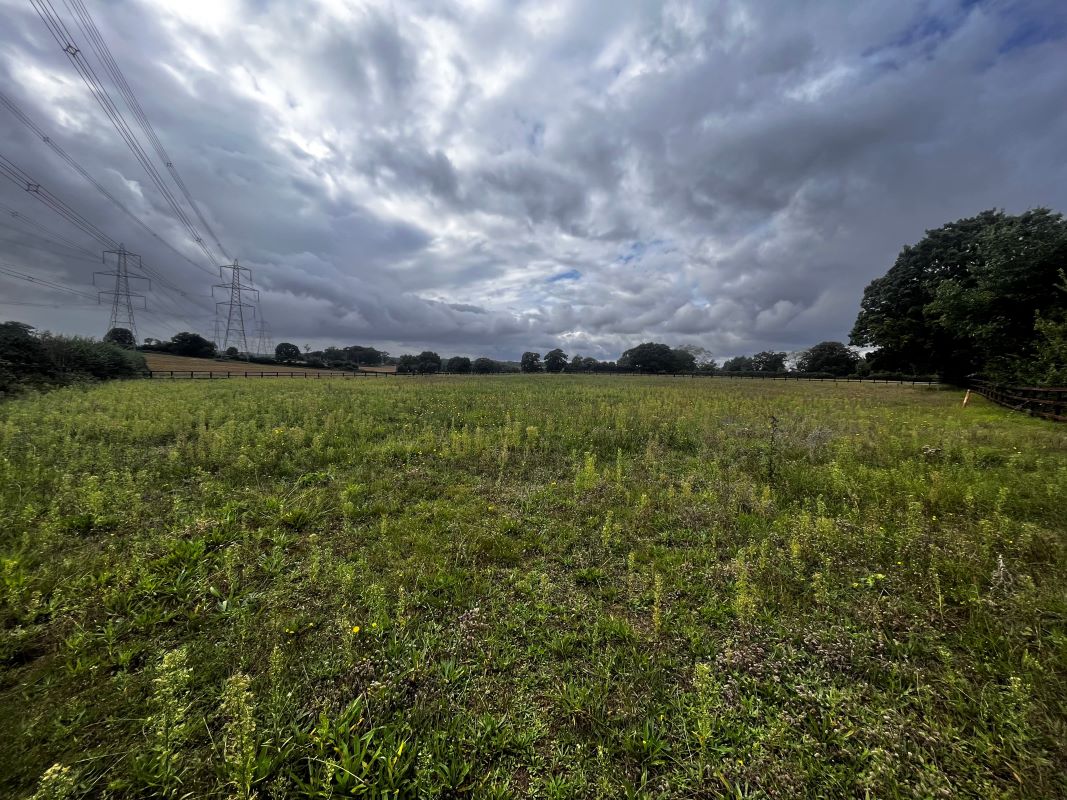 Land at Farnham Road, Snape, Saxmundham, Suffolk, IP17 1QW - Online Auctions
