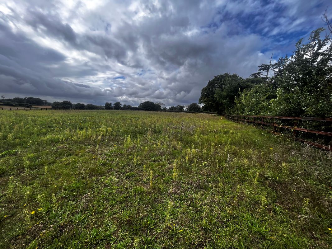 Land at Farnham Road, Snape, Saxmundham, Suffolk, IP17 1QW - Online Auctions
