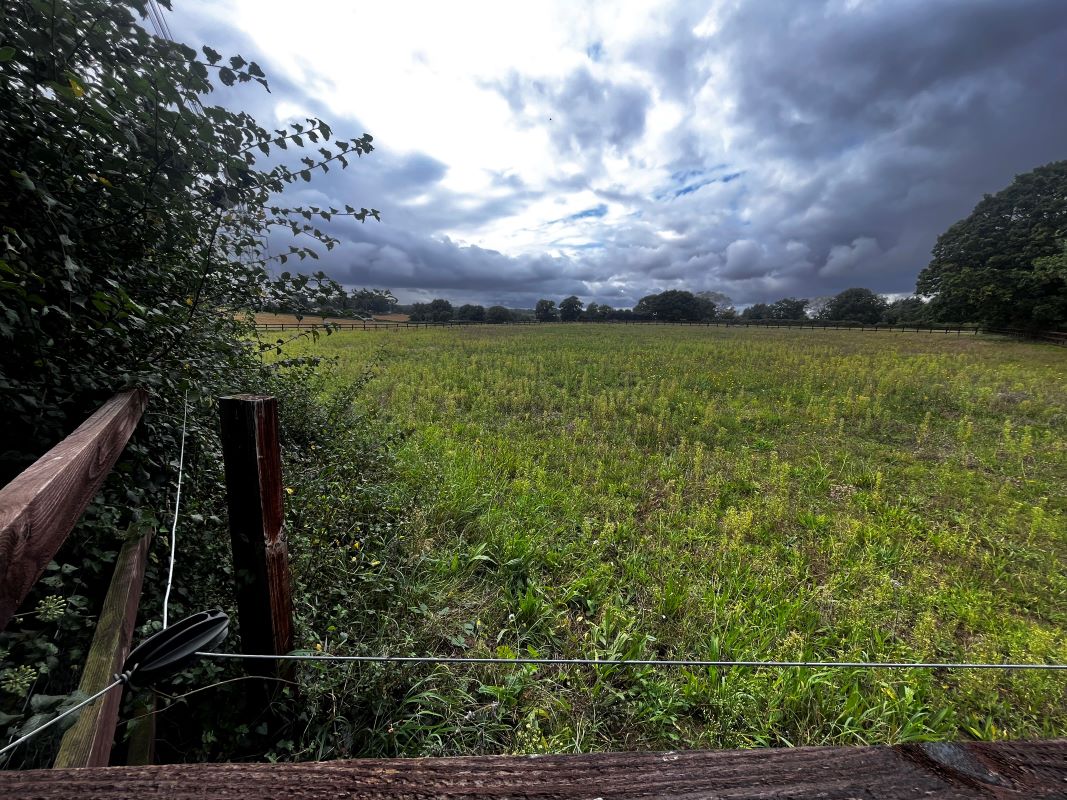 Land at Farnham Road, Snape, Saxmundham, Suffolk, IP17 1QW - Online Auctions