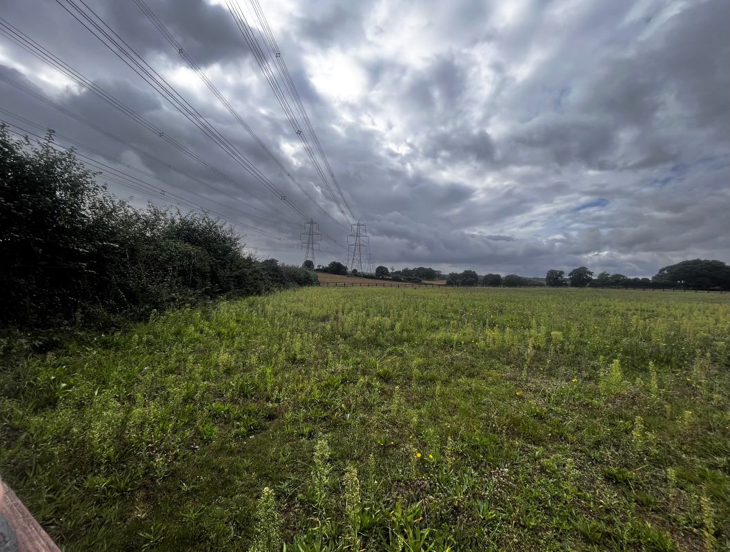 Land at Farnham Road, Snape, Saxmundham, Suffolk, IP17 1QW - Online Auctions