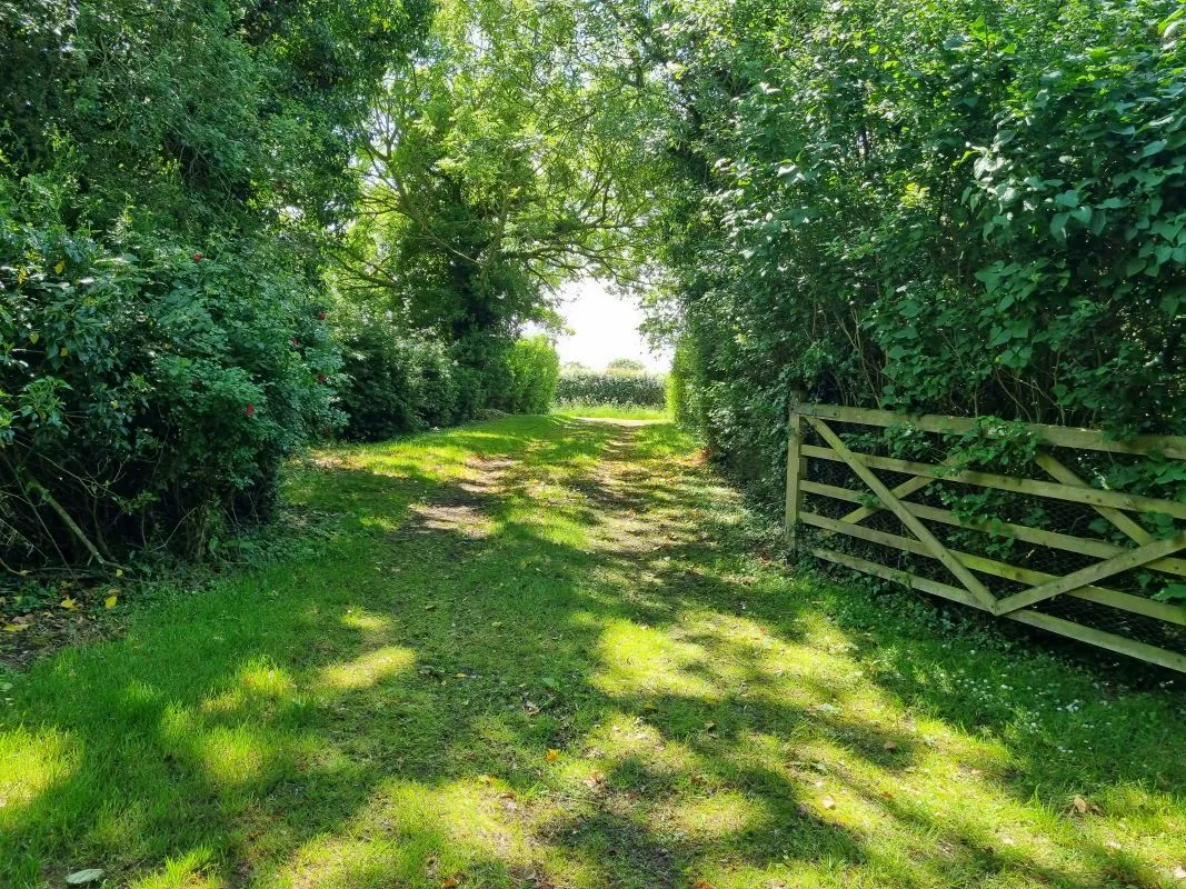 Middle Green, Sibton Green, Sibton, Saxmundham, Suffolk, IP17 2JX - Online Auctions