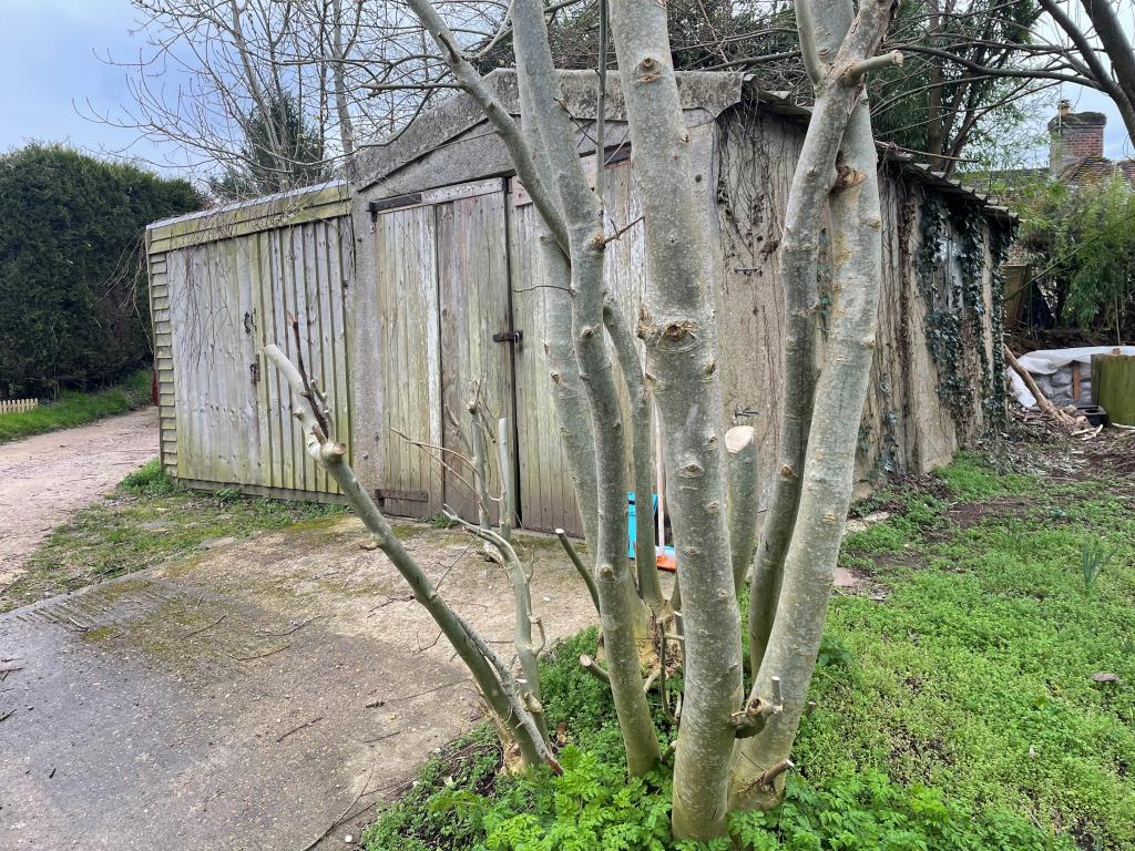 Garages And Land With Potential