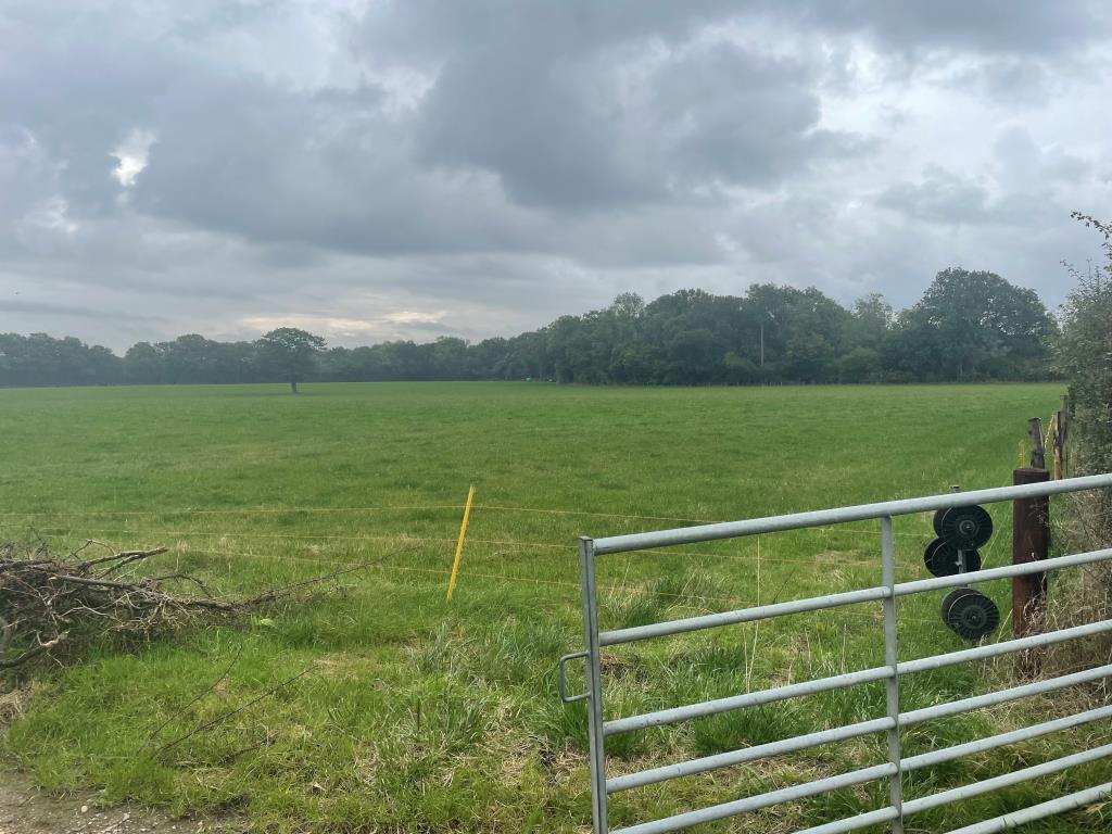 Just Over 33 Acres Of Farmland In Strategic Location - To Be Offered For Sale By Public Auction On Friday, 25th October 2024