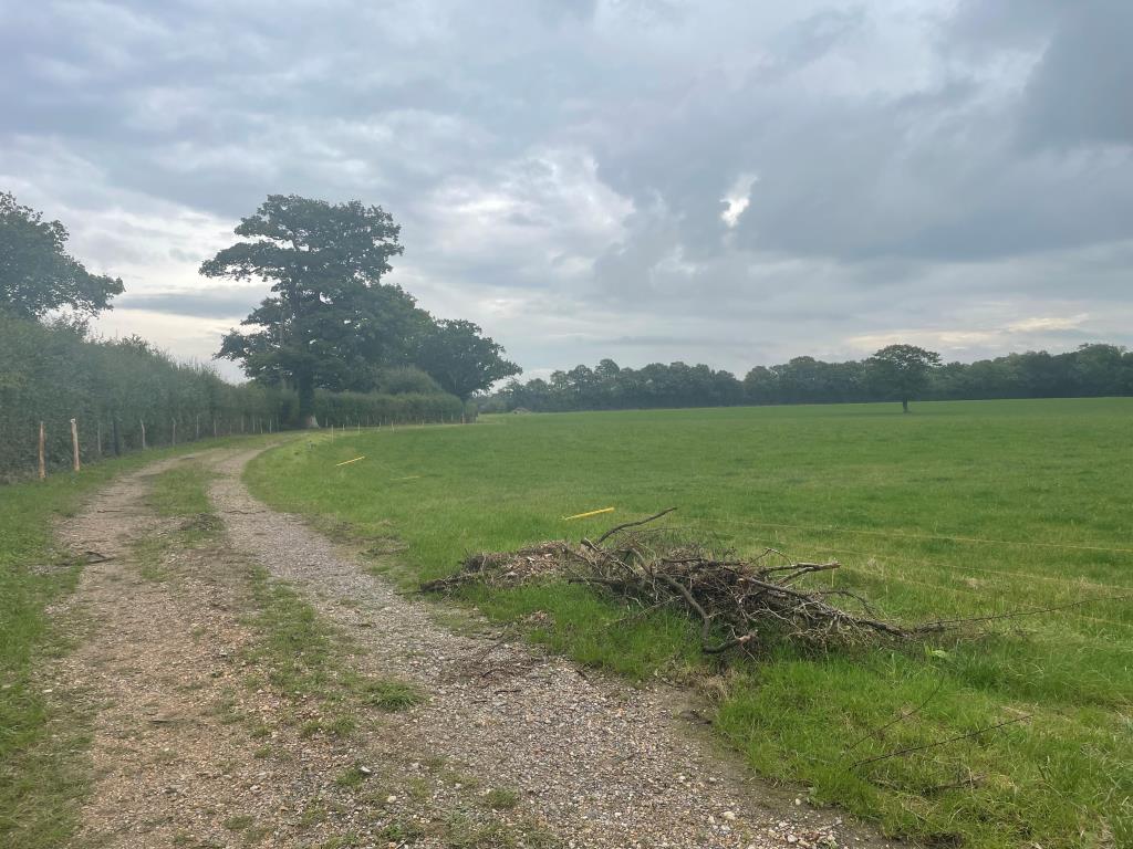 Just Over 33 Acres Of Farmland In Strategic Location - To Be Offered For Sale By Public Auction On Friday, 25th October 2024