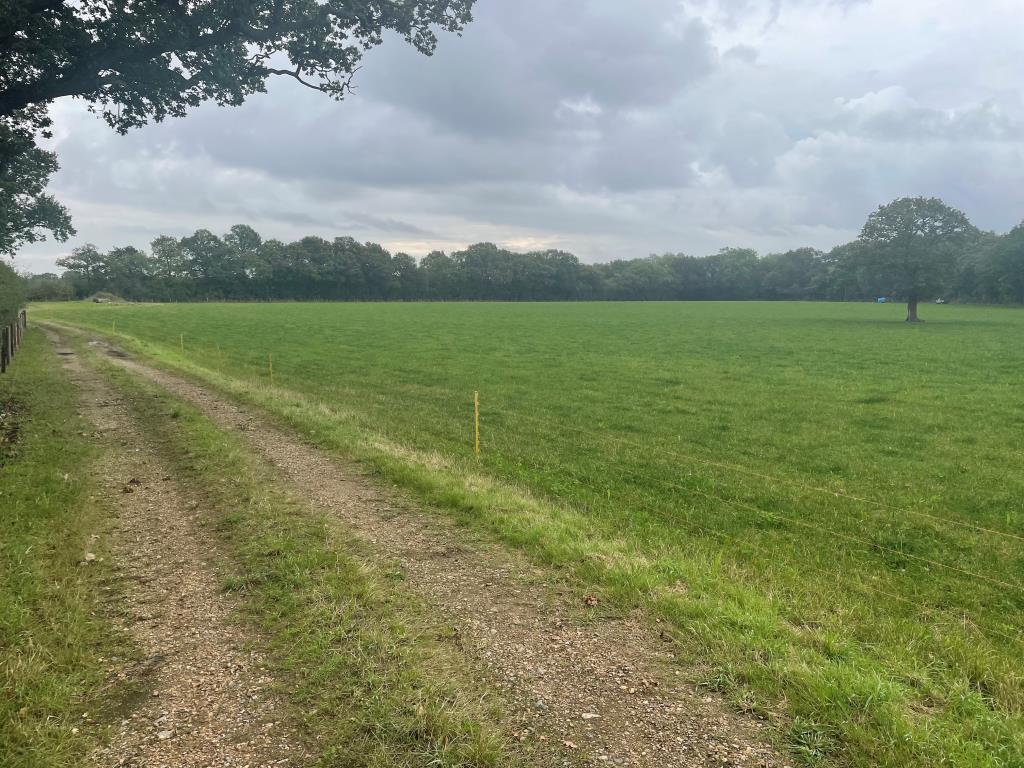 Just Over 33 Acres Of Farmland In Strategic Location - To Be Offered For Sale By Public Auction On Friday, 25th October 2024