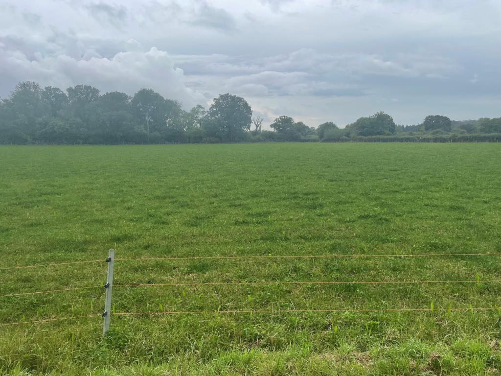 Just Over 33 Acres Of Farmland In Strategic Location - To Be Offered For Sale By Public Auction On Friday, 25th October 2024