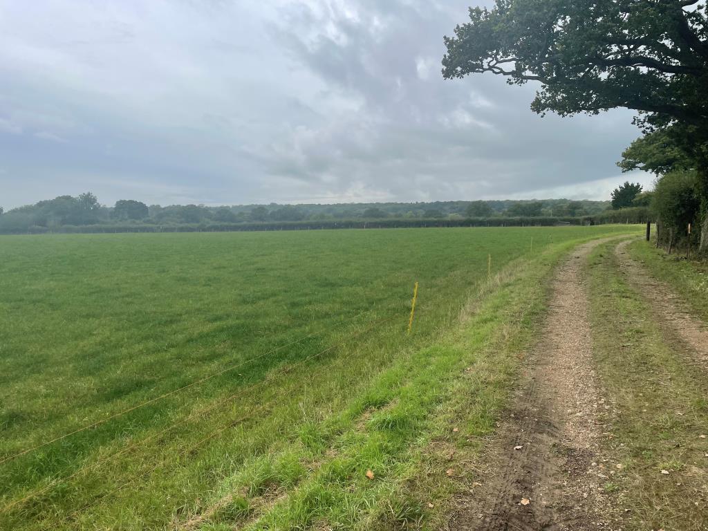 Just Over 33 Acres Of Farmland In Strategic Location - To Be Offered For Sale By Public Auction On Friday, 25th October 2024