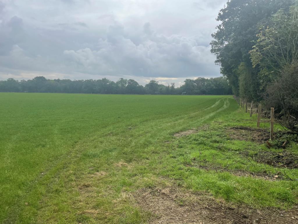 Just Over 33 Acres Of Farmland In Strategic Location - To Be Offered For Sale By Public Auction On Friday, 25th October 2024