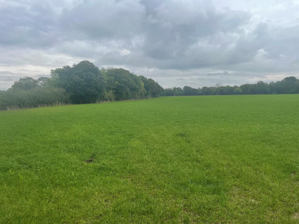 Just Over 33 Acres Of Farmland In Strategic Location - To Be Offered For Sale By Public Auction On Friday, 25th October 2024
