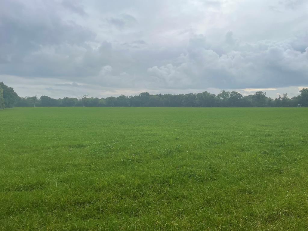Just Over 33 Acres Of Farmland In Strategic Location - To Be Offered For Sale By Public Auction On Friday, 25th October 2024