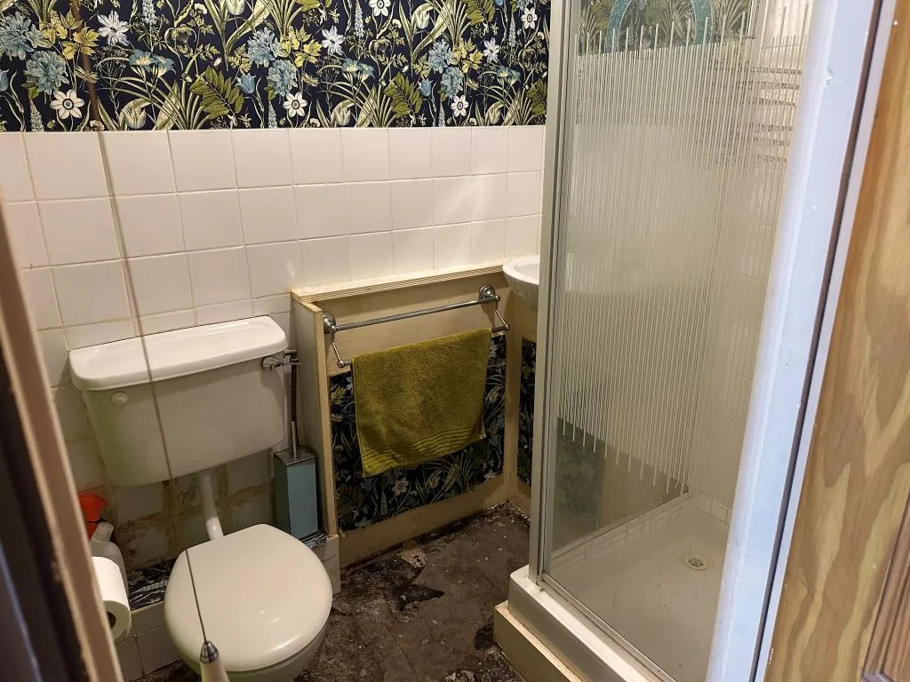 One-Bedroom Garden Flat For Improvement