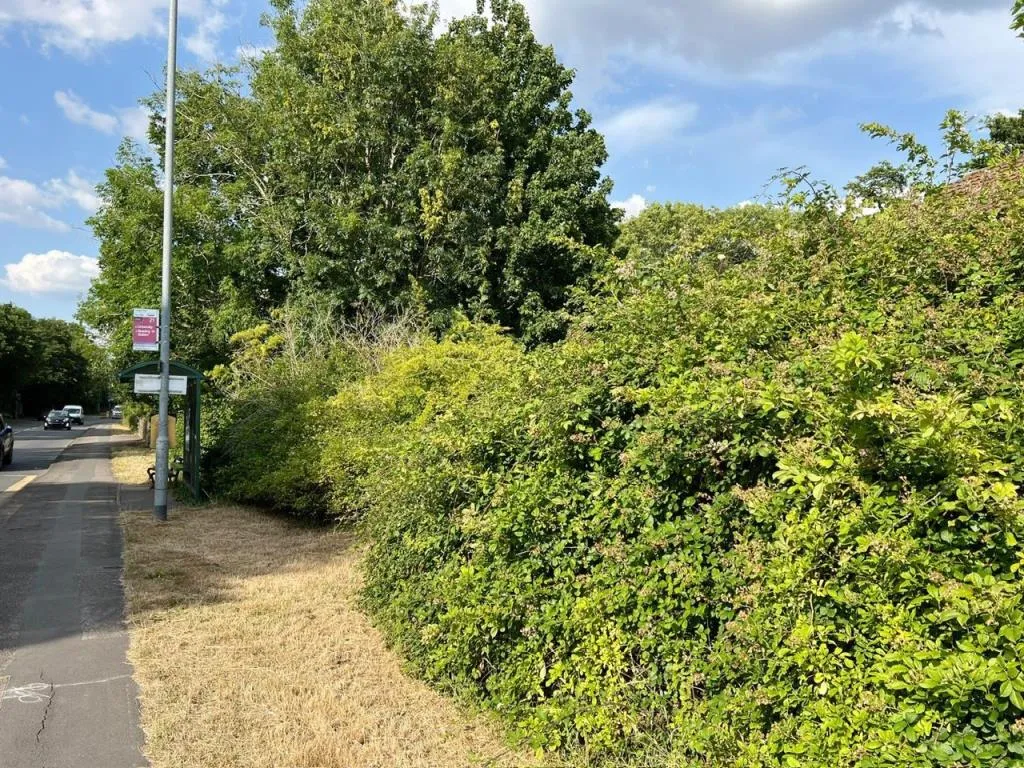 Two Parcels Of Freehold Land