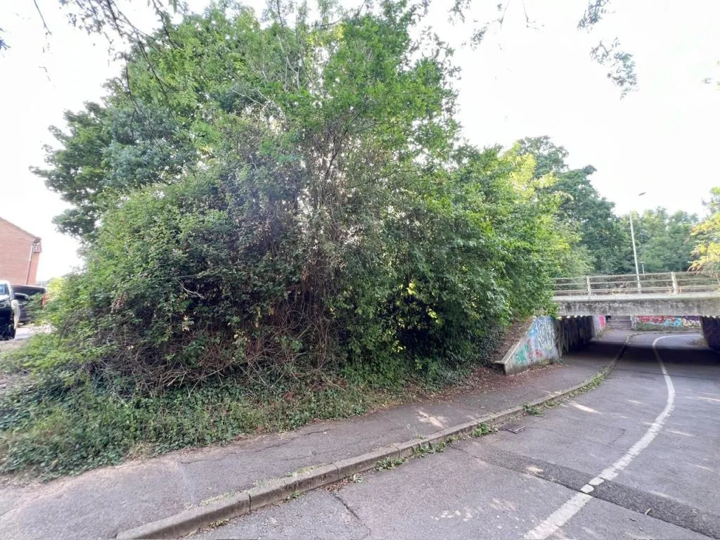 Two Parcels Of Freehold Land