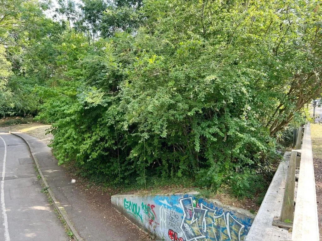 Two Parcels Of Freehold Land