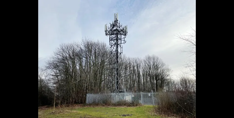 Lot 175 - Over Three And A Half Acres Of Woodland With Mast Investment