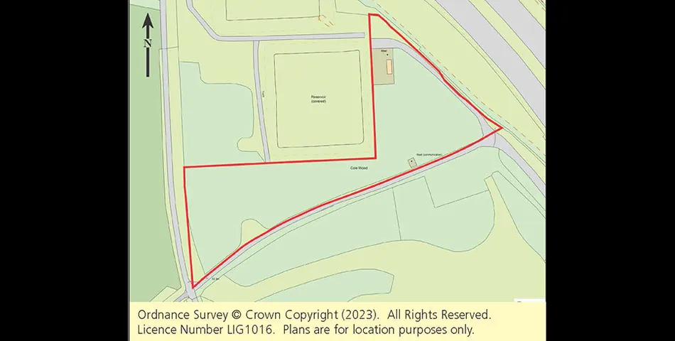 Lot 175 - Over Three And A Half Acres Of Woodland With Mast Investment