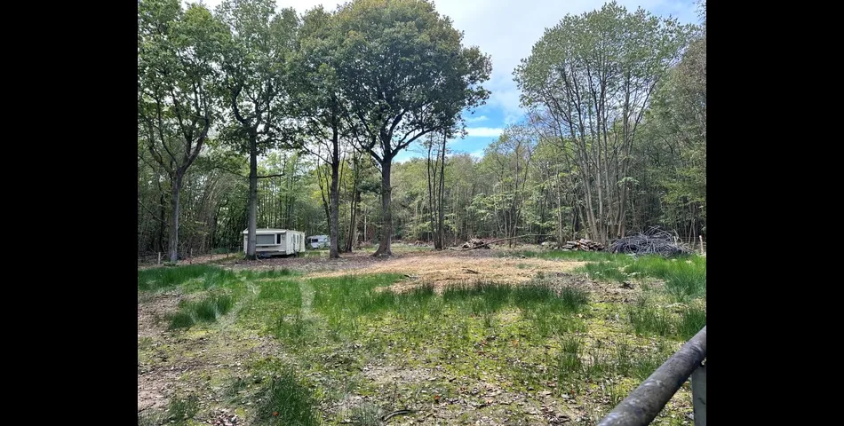 Lot 88 - Woodland With Approved Lawful Development Certificate