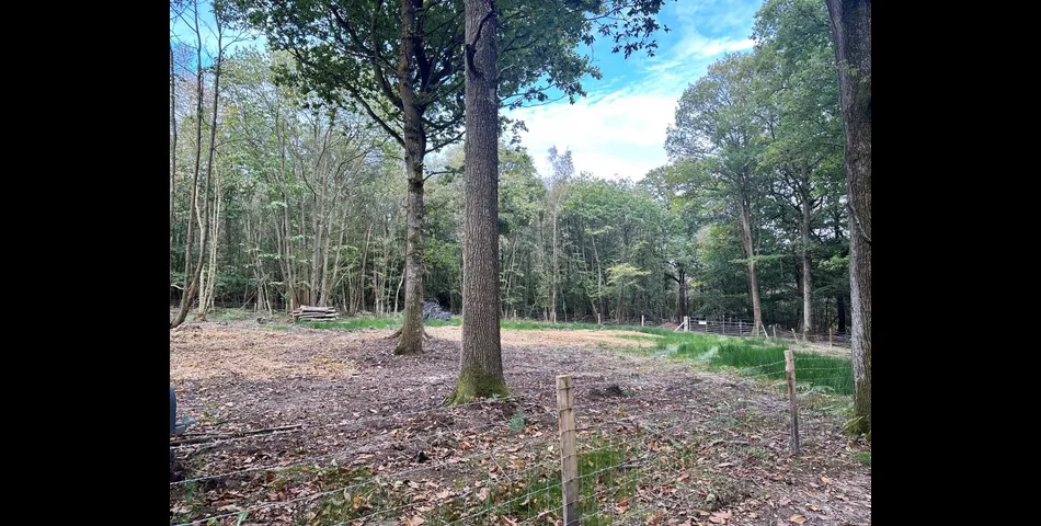 Lot 88 - Woodland With Approved Lawful Development Certificate