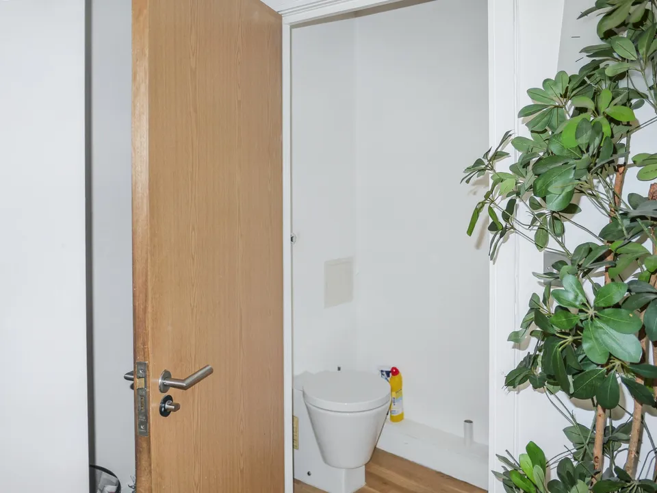 16 Horseshoe Mews, Acre Lane, London, SW2 5TH