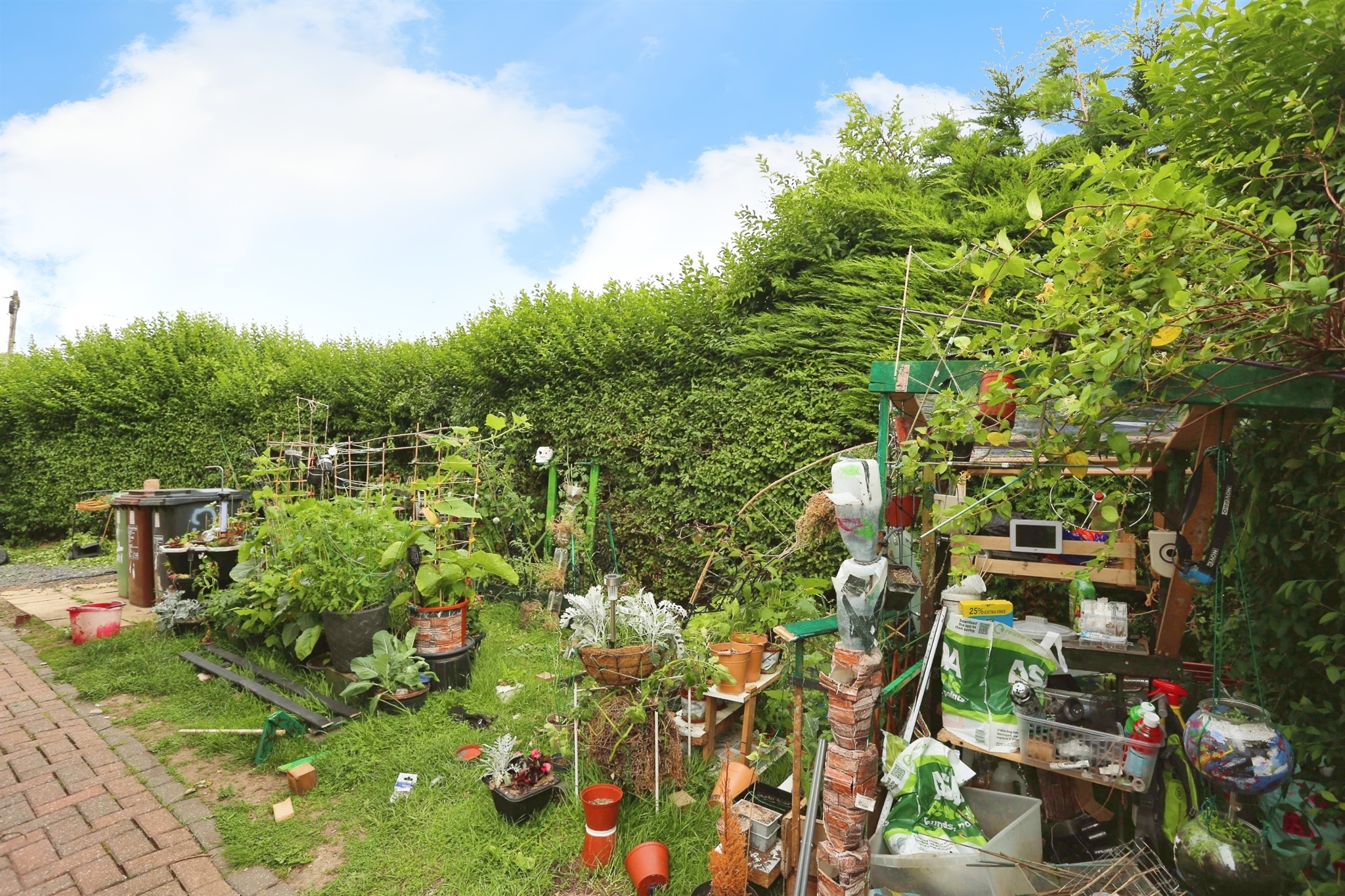 6 bed Semi-Detached