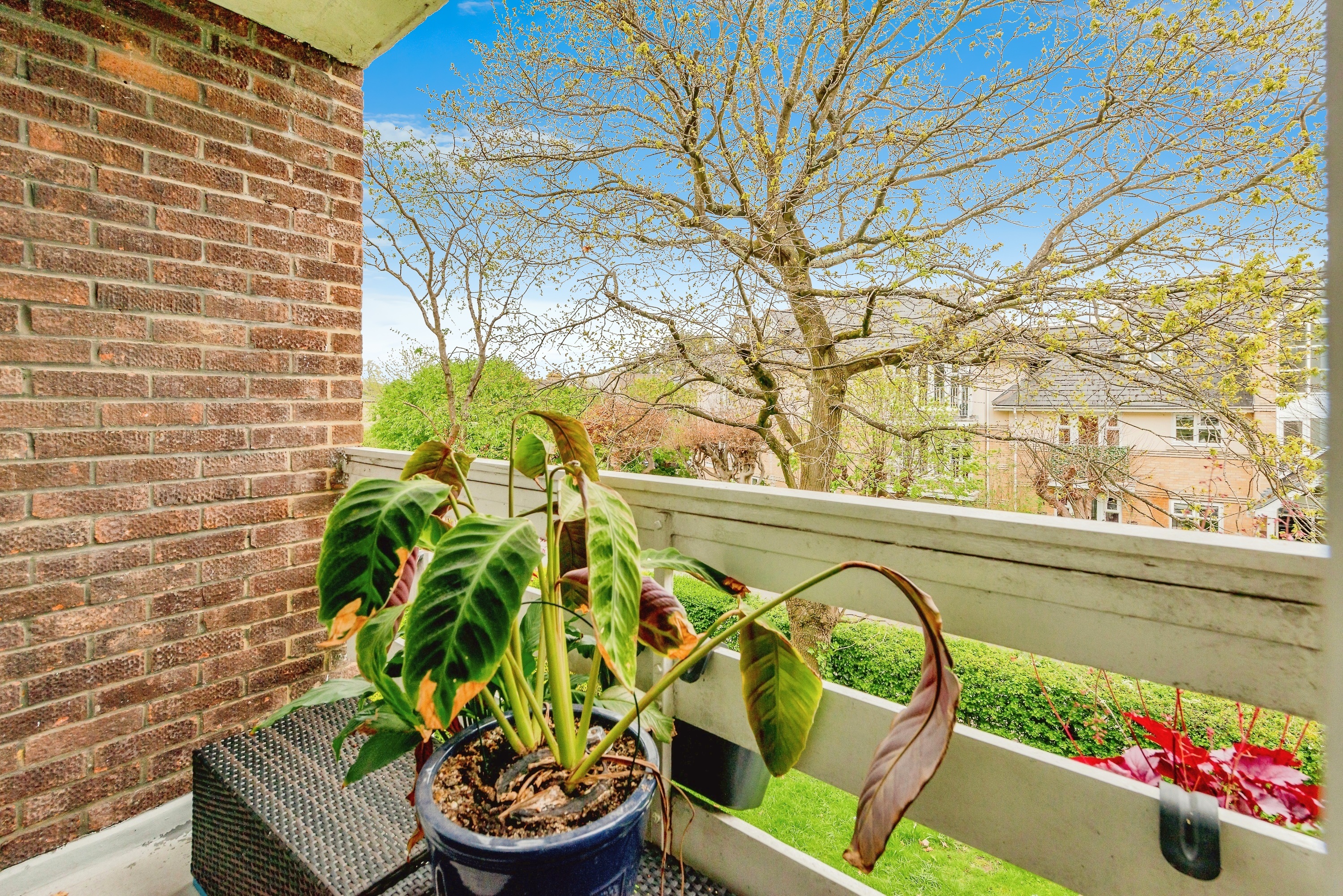 1 bed Apartment