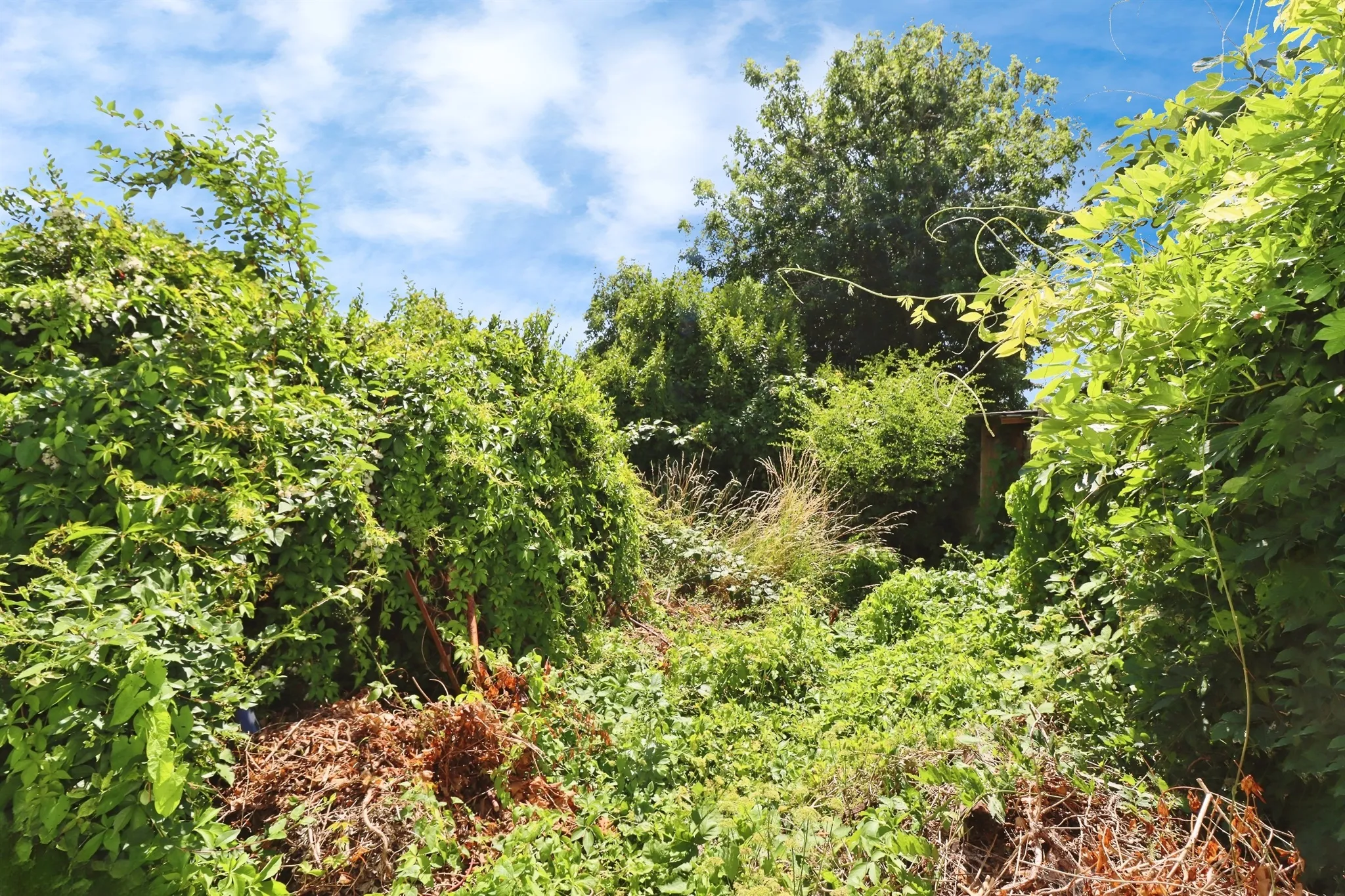 2 bed Terraced